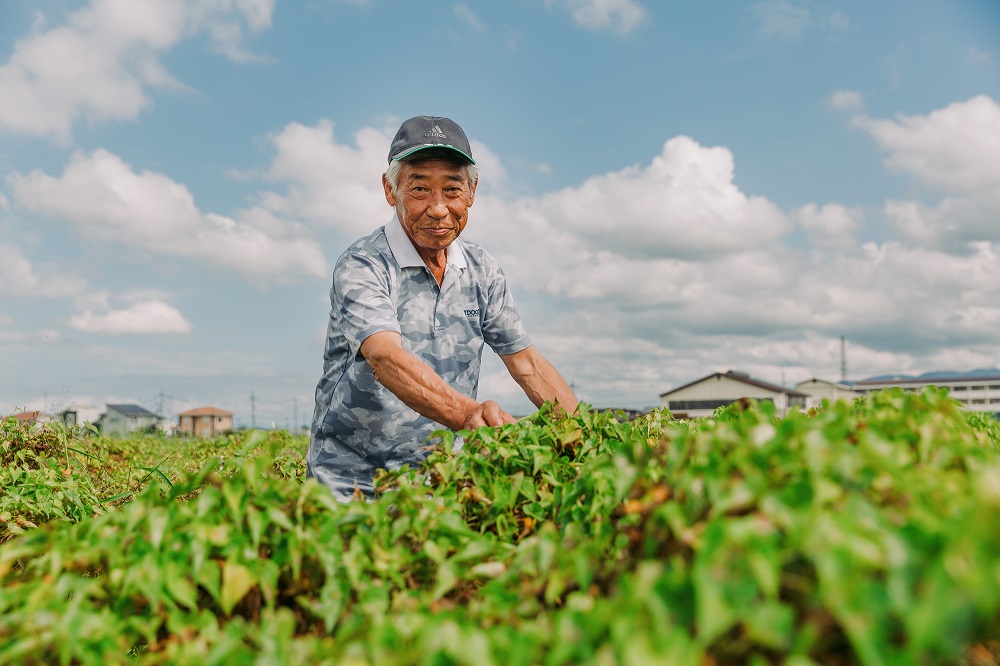 伝統野菜を後世に遺したいサムネイル