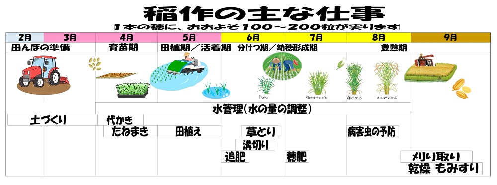 R7稲作の主な仕事_page-0001
