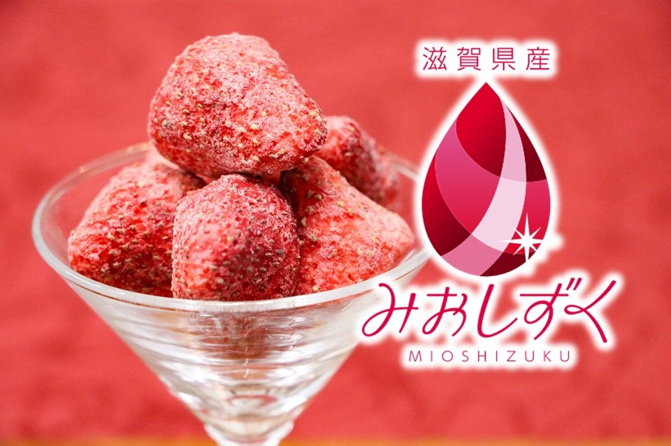 フリーズドライイメージ２