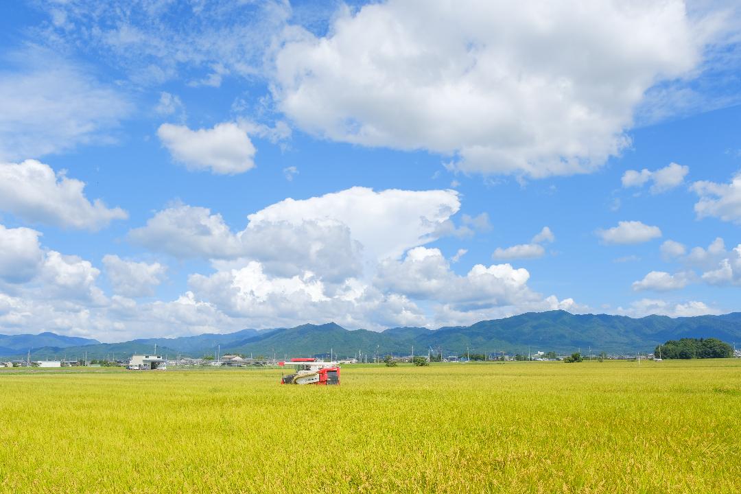 664178305_1258125473113101_7761255808706973124_n (1)