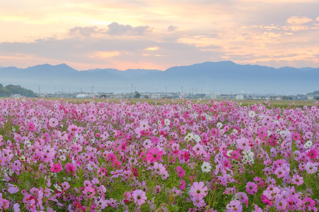 664213688_808033245707216_6784725607066229746_n (1)