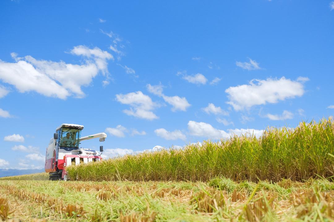 664750390_1474573677791967_2784703318523820598_n (1)