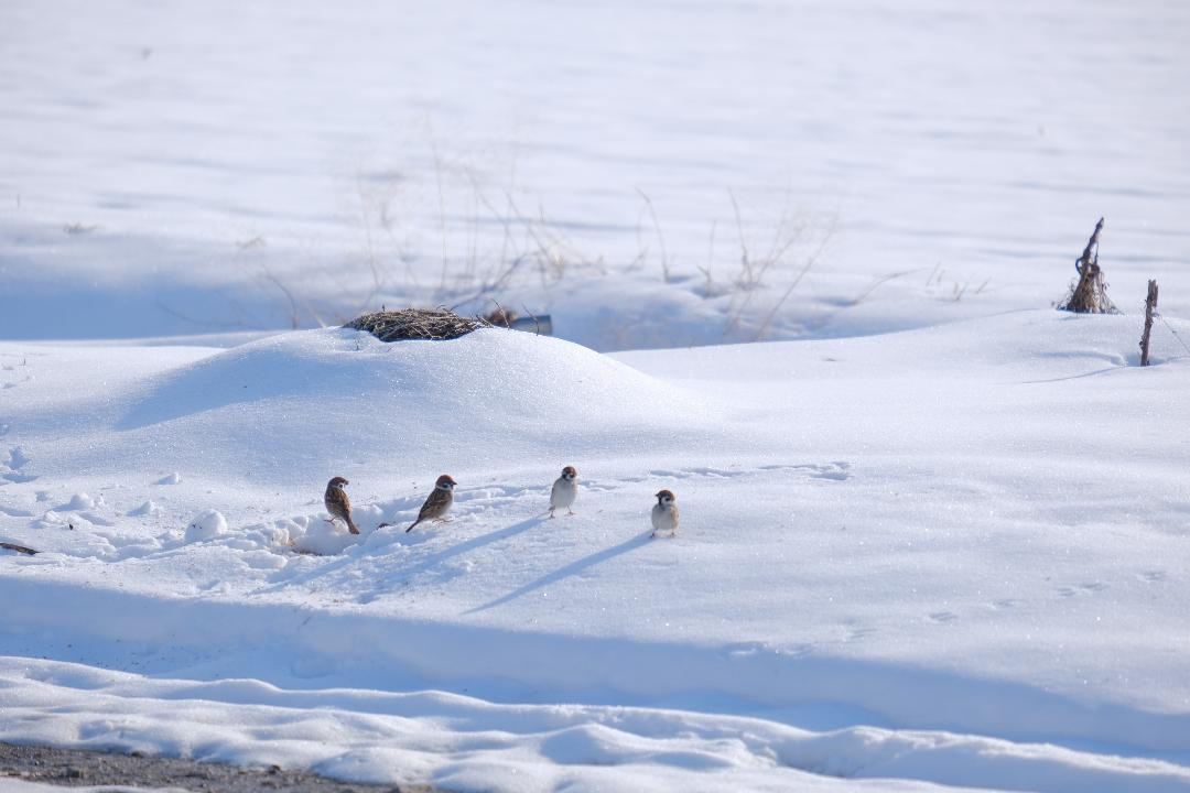 665241071_26518769117739661_6757745401657165194_n (1)