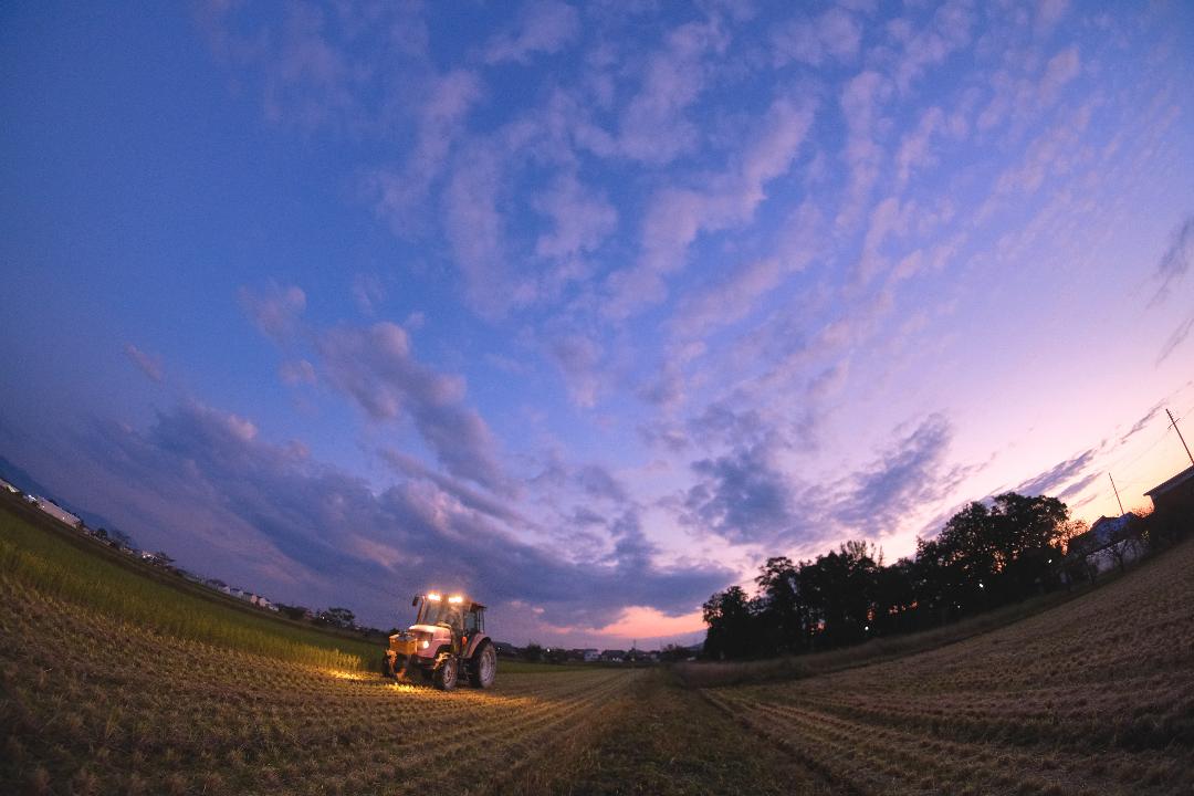 665278074_989805797133283_4046690940206760882_n (1)