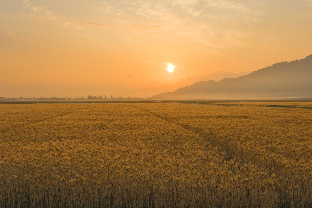 666302075_27026961063576394_9002407474176205030_n (1)