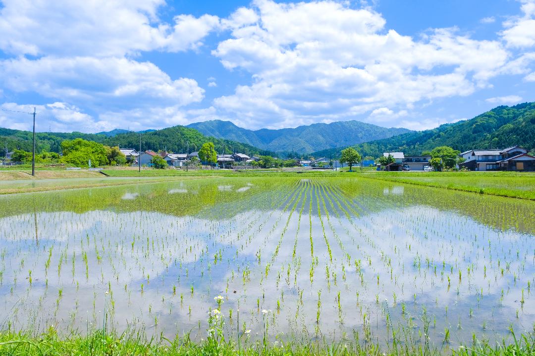 667016726_1498721268305242_5877849697462918036_n (1)